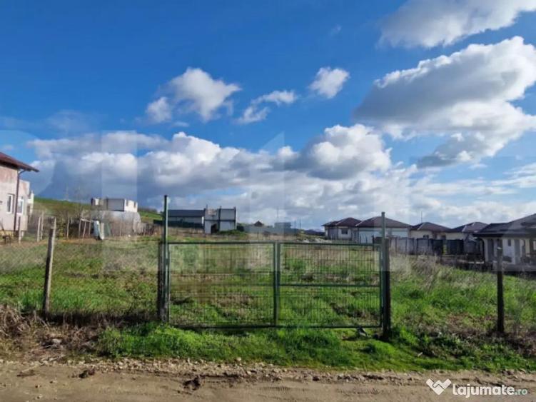 Teren intravilan, Simnicul de Sus, Romanesti, 1000(1500) mp - 3