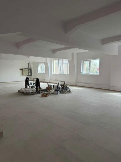 Spatii comerciale / depozitare de inchiriat Viilor 56, Sector 5 - 3