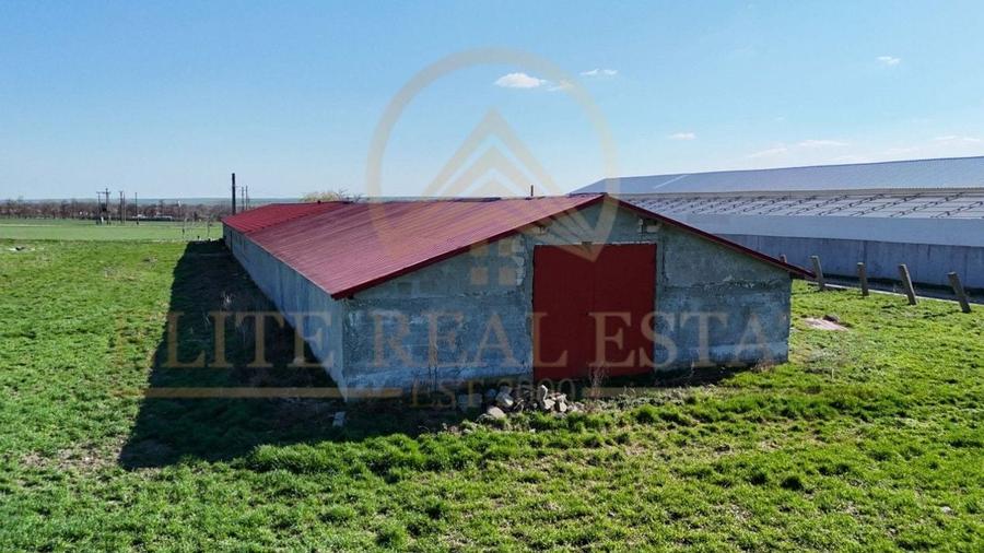 Tariverde - Ferma zootehnica functionala, 3 hectare teren intravilan! - 9