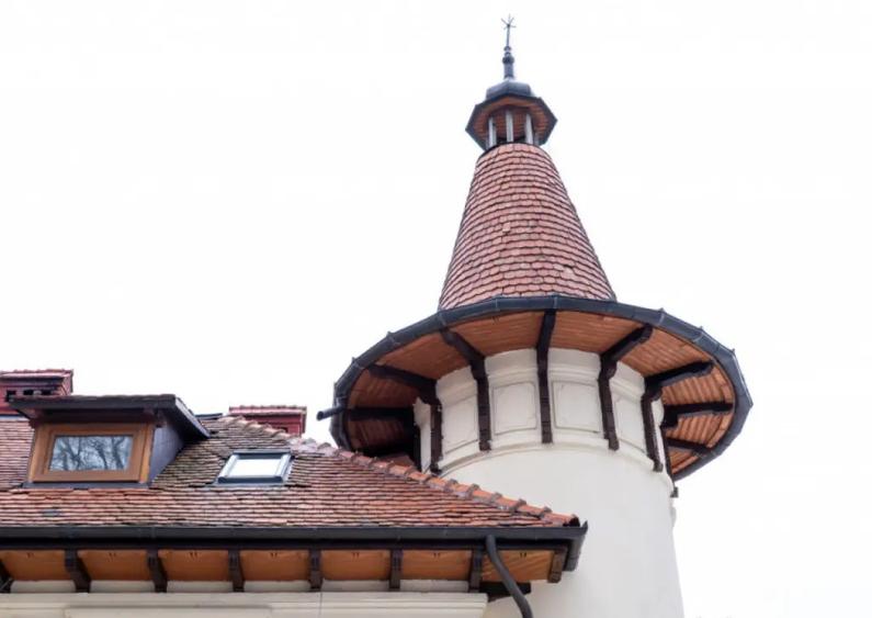 Domeniu fabulos zona Varatec - 3