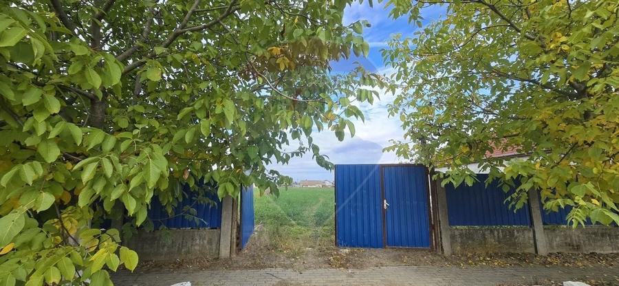 Teren si casă cu teren generos în Socodor - 24