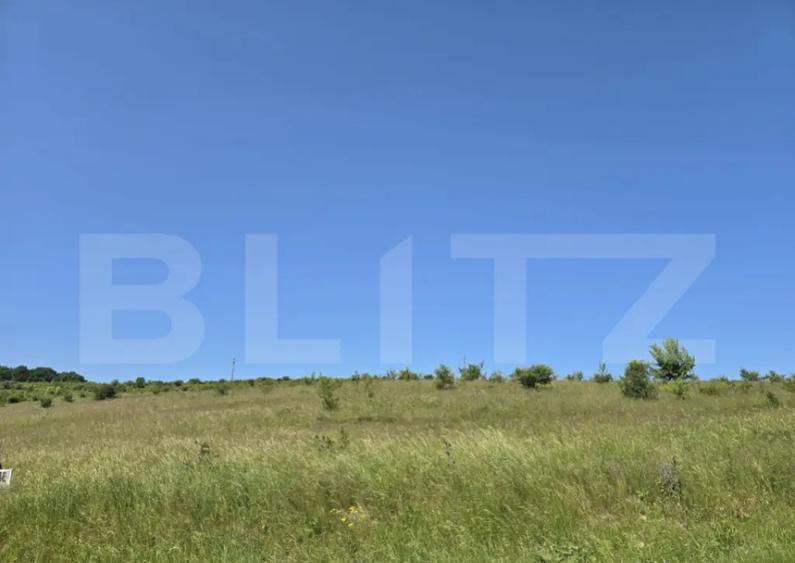 Teren intravilan construibil in Salicea - 3