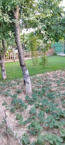 Casa de vanzare in spate la bloc privilege - 4