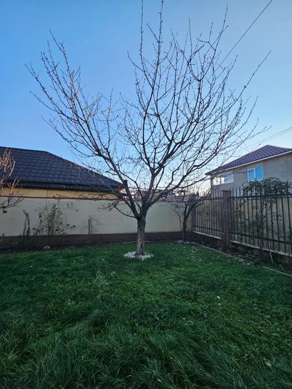 Casa de Vanzare P+1 In Agigea Teren 400mp Garaj - 51