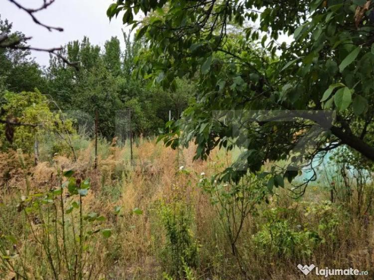 Teren extravilan 17524 mp, expunere sudica, Viforata - 5