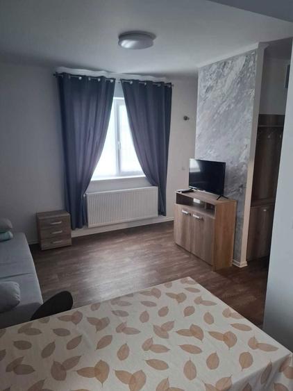 Afacere la cheie casa, vila, zona Therme,Aeroport - 5