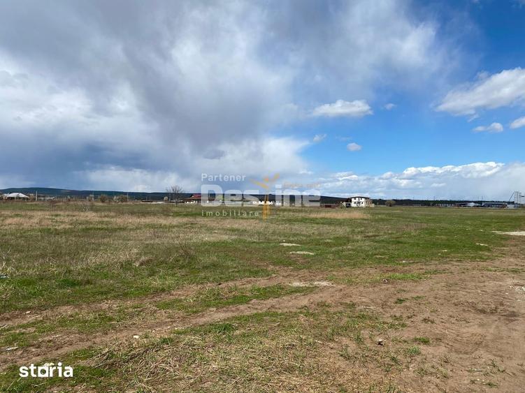 Teren de vanzare Dumbrava Rosie 20.000 Euro 900mp - 1