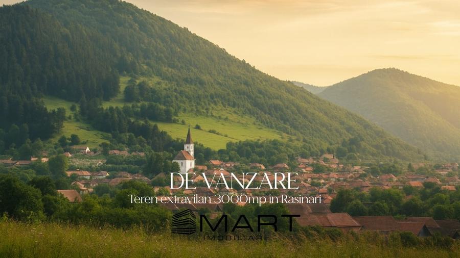Teren extravilan cu priveliste minunata 3000mp in Rasinari - 1