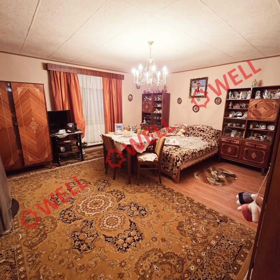 Casă familiară de vânzare în Bixad! - 15