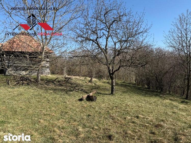 Casa si anexe cu un teren de 7701 mp de vanzare in Stauini Jud Alba - 19