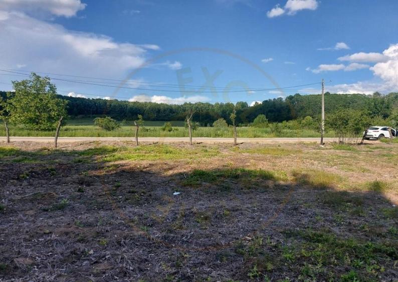 Teren intravilan 1843 mp - Cerbu/Albota/Arges - cu proiect d - 1