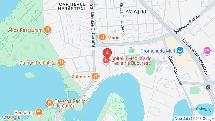 3 Camere Herăstrău – Aviației | 70 mp | Lumină Naturală Ideală | Parcare Garaj - 1