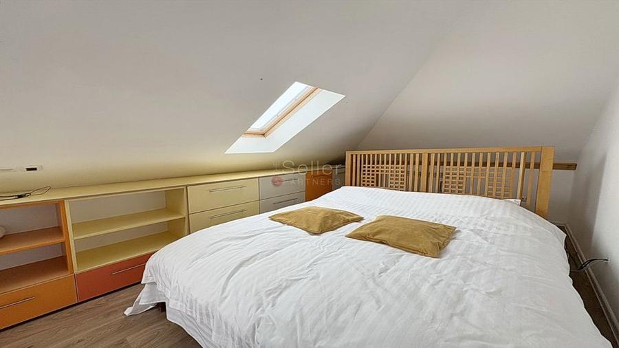 Priveliste Spre Tampa - 14