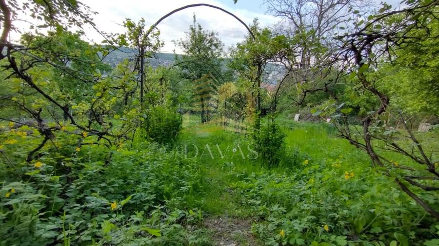 Casa alipita de vanzare | Gruia | Teren 890mp - 10