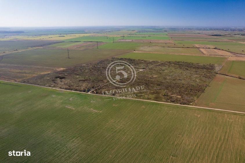 Ocazie- Teren Intravilan de Vanzare- Peris Snagov- Doar 10 euro/mp - 8