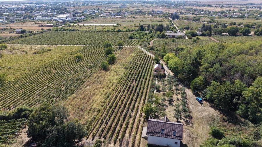 Casă cu 3 camere în Central