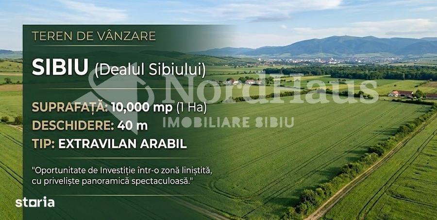 Spațiu comercial, în Șura Mare