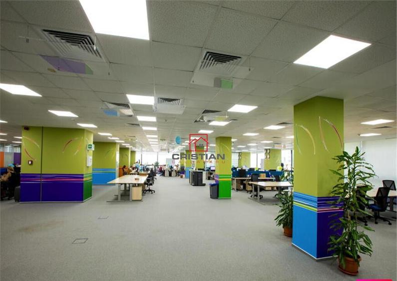 Birouri Grozavesti - Crangasi, Bucuresti - 19