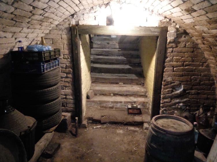 De vanzare case de vinificatie cu Teren 1100 mp - 3