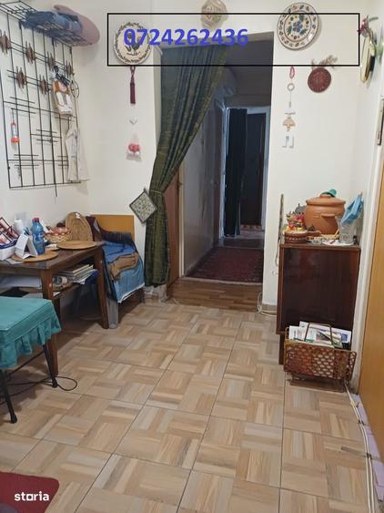 Crangasi Vintila Mihailescu! - 8
