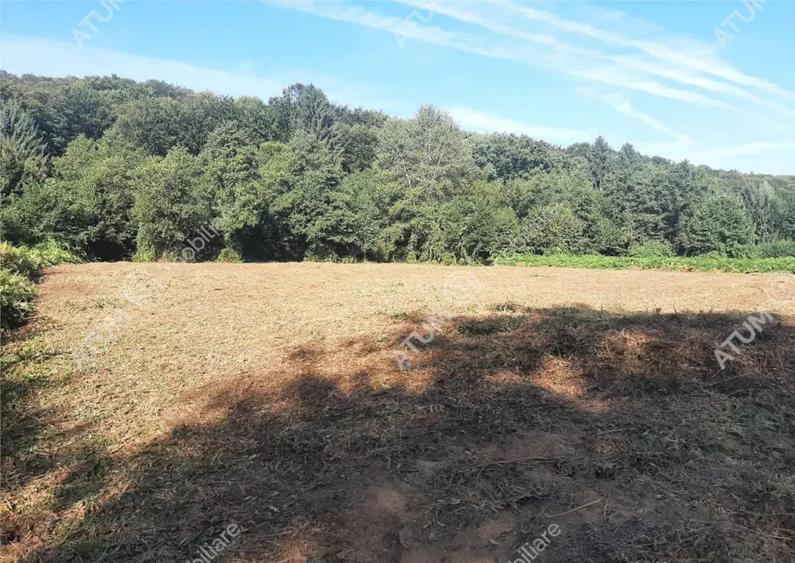 Teren intravilan de 1856 mp in Avrig zona Valea Avrigului - 4