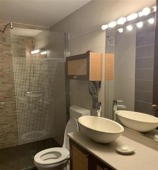 Inchiriere Apartament 2 Camere Decomandat Brancoveanu-Paduroiu - 3