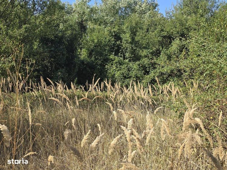 Terenuri intravilane de vanzare| Ciolpani |Acces rapid DN1 & A0 - 6