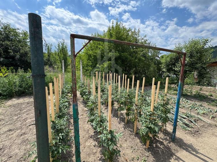 Casă spațioasă in Seica Mare - Centru | 92mpu 638mp teren - EXCLUSIVITATE - 6