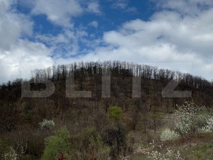 Vand 2 hectare de pădure de Stejar, Carmazanesti - 1