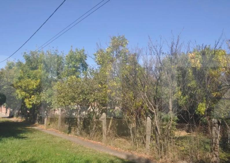 Vanzare Casa / Vila Giroc / Fratelia - 1