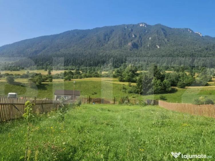 Teren Plaiul Foii, vedere spre muntii Bucegi si apa Barsa 10 - 5