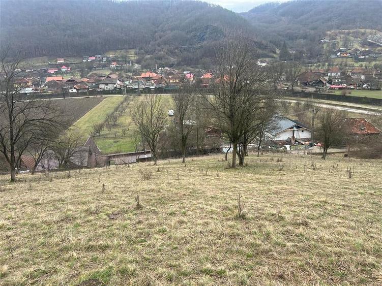 Teren intravilan si extravilan Luncoiu de Jos - 1