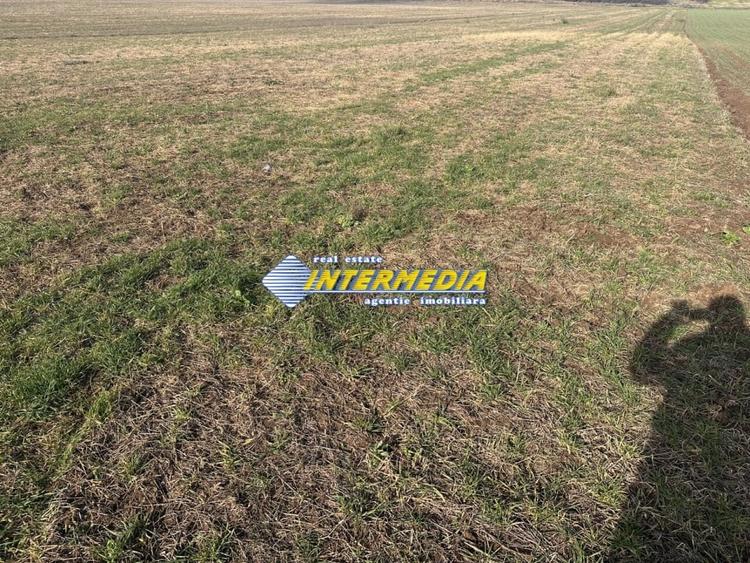Teren intravilan cu apa si canal zona Ampoi 3 Alba Iulia de vanzare - 1