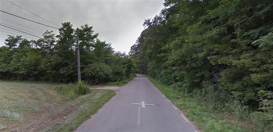 Teren de vanzare in Snagov - 981 mp - 5