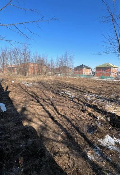 Teren | Corbeanca | Laguna Albastra Aleea | posibilitate schimb cu Ap. - 2