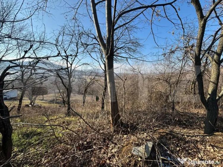 Teren intravilan de vanzare, 17700 mp Zalau - 3