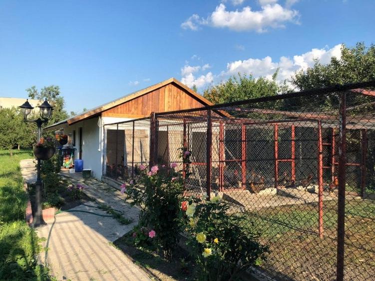 Braytim casa parter (3cam) + casa P+1E rosu (5cam) - teren 1942 mp - 15