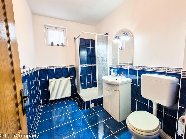 Casa Prundu Pitesti - 18