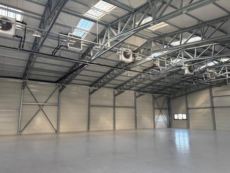 Hala Industriala Premium de inchiriat - 2