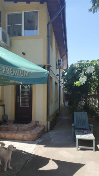 Vila ultracentral Pantelimon - 3