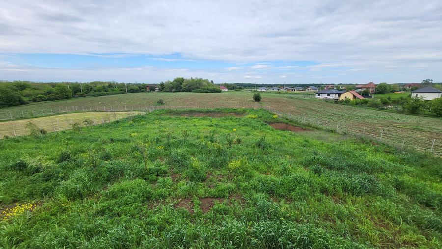 Vanzare Teren Intravilan, sat Balteni, 1000 mp - 1