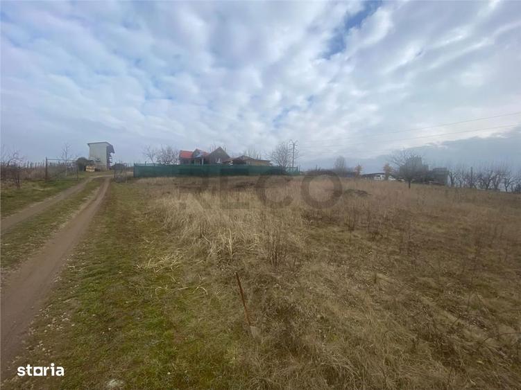 RECO teren Marghita - 2