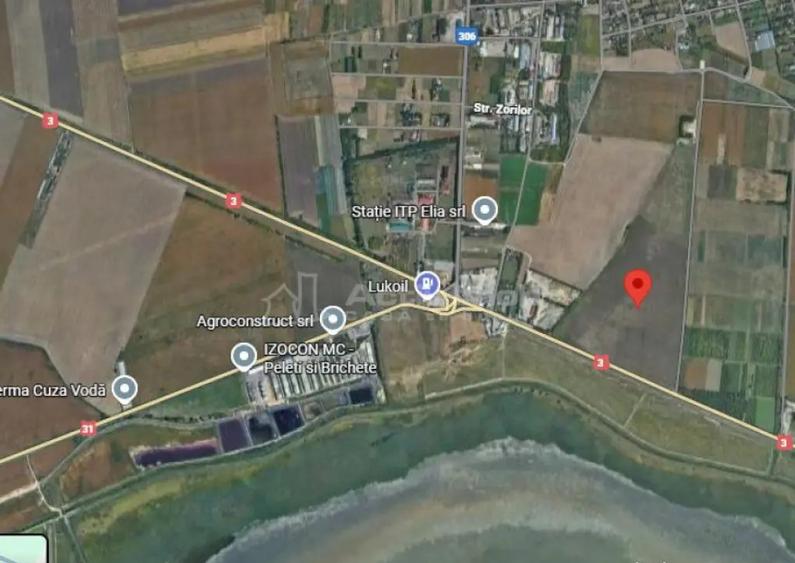 V#226;nzare TEREN 12 ha - Jud. C#259;l#259;ra#537;i / Cuza V - 2