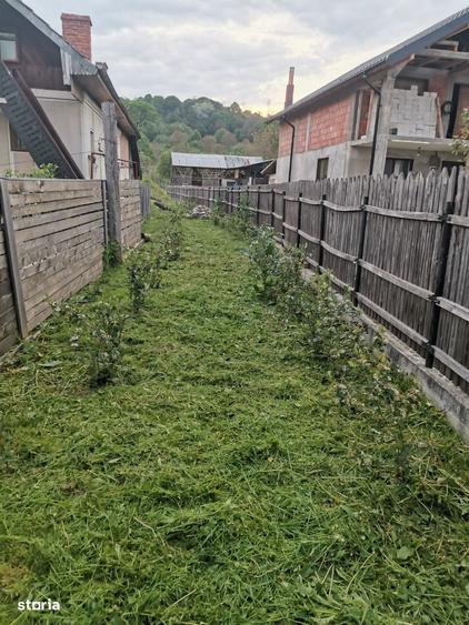 Oferta Teren intravilan - 1