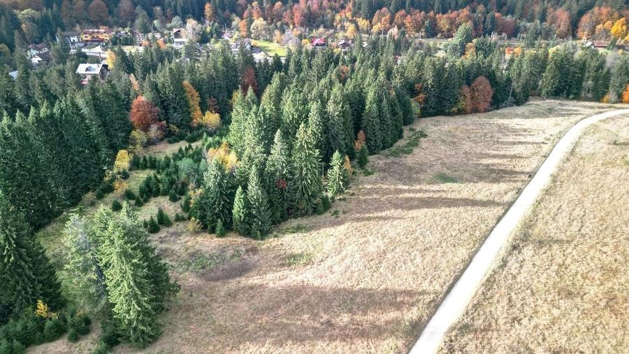 Poiana lui Manole - teren Intravilan - 2