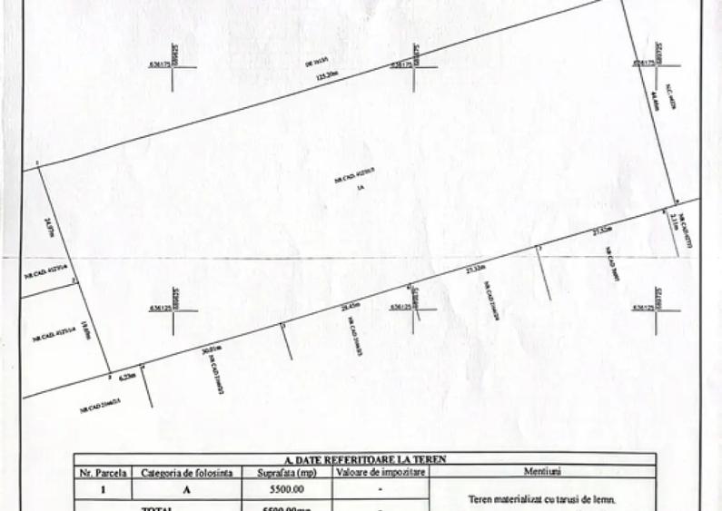 Vand Teren Rediu 5500 mp - 2