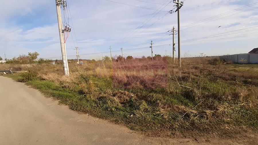 Teren la Asfalt cu utilitati alaturi (Curent & Gaz) langa Bucuresti - 19