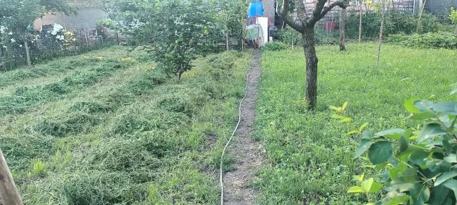 Vand casa cu teren in zona Titu - 19