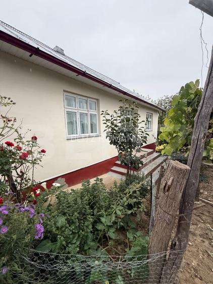 Casa batraneasca, 65 mp si teren intravilan 5600 mp, Adancata