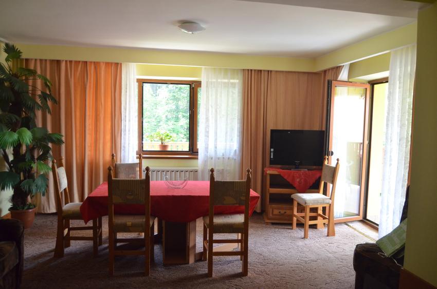 Vila cu 11 camere situata in Predeal,Cioplea ,panorama spectaculoasa - 9